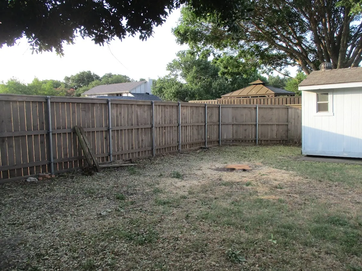 Cleared yard after professional tree removal in Gravity